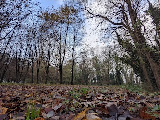 Bosco del Lusignolo