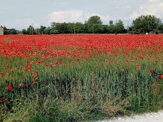 Agriturismo Zambon