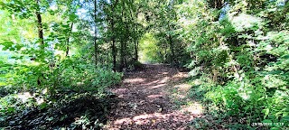 Oasi Bosco di Montorfano