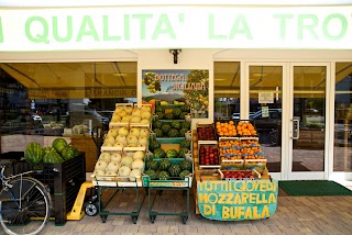 Bottega Siciliana - Negozio di Frutta e Verdura Olmi