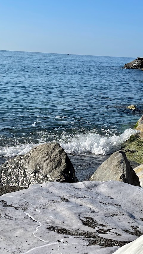 Spiaggia per cani