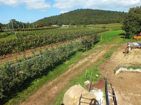 Agriturismo Ostrouska