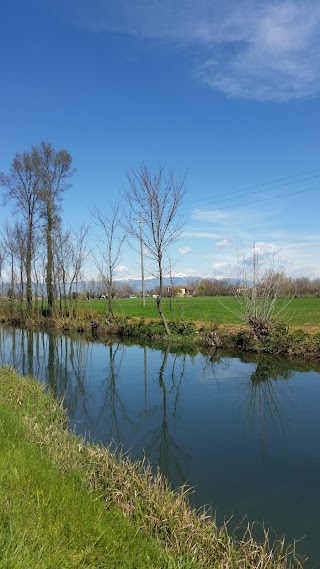 Ristorante Al Bacino