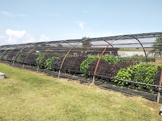 Dipartimento di Scienze Agrarie, Forestali e Alimentari - Azienda Sperimentale Tetto Frati