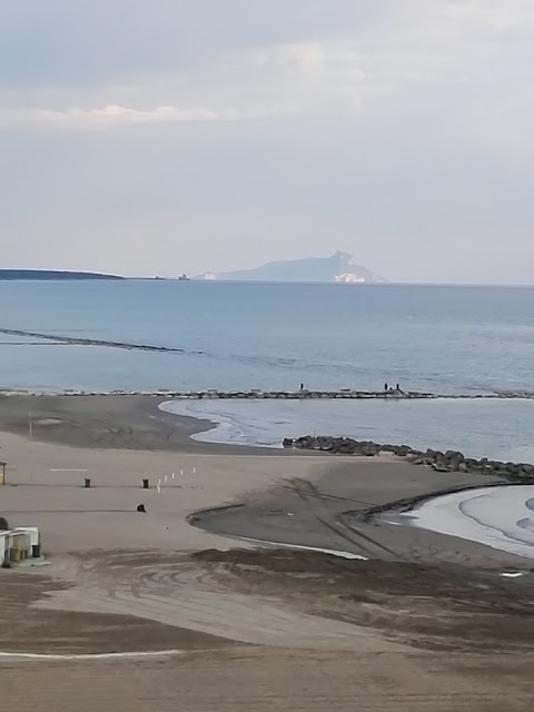 Tagliati X il Successo Nettuno