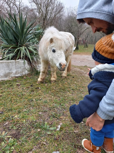 Maneggio Cavalli Pietrarossa