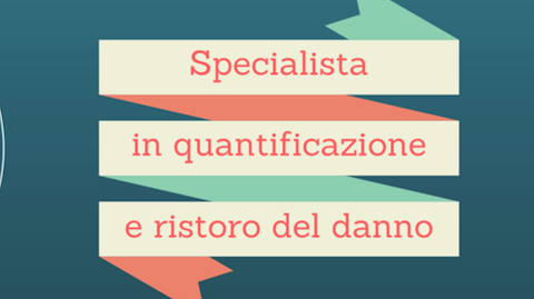 Qui Risarcimenti - Risarcimento danni Parma, Infortuni sul lavoro Parma, Infortunistica Parma,Incidente stradale