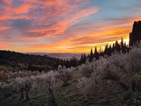 Parco Avventura Vincigliata