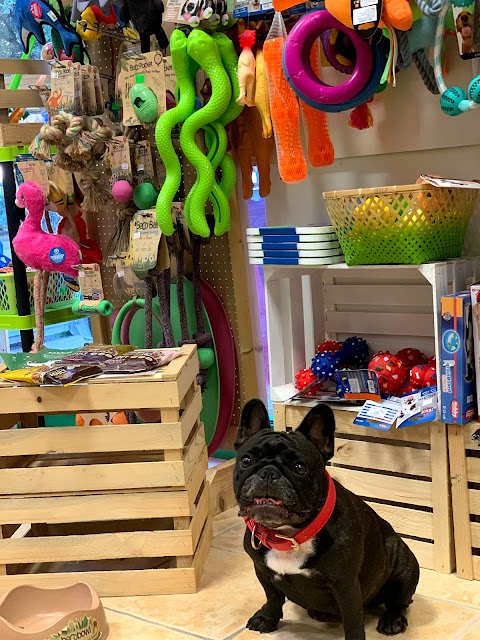 Pet Shop MISS HOPE