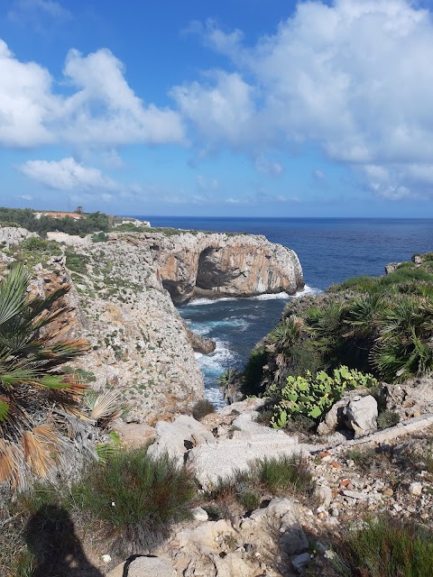 Centro cinotecnico di capo rama