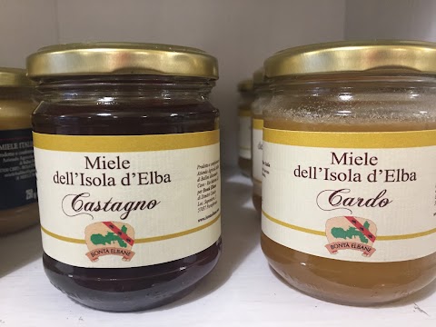 La Bottega di Diego Giannoni