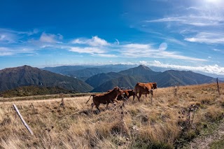 Antola outdoor Liguria