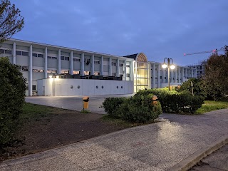 Liceo Scientifico Statale Leonardo