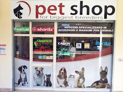 Pet Shop