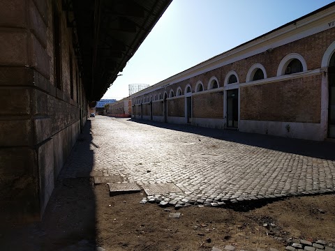 Università Degli Studi Roma Tre - Architettura