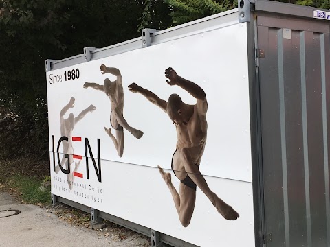 Kulturno umetniško društvo "Igen" hiša umetnosti Celje in plesni teater Igen