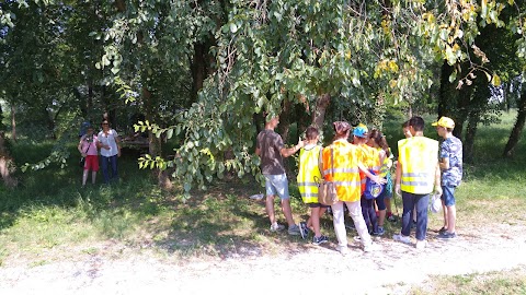 Parco regionale di interesse locale del Reghena, Lemene. Laghi di Cinto