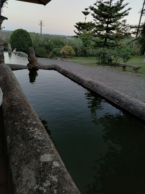 Ristorante L'Acqua delle Donne