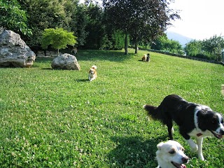 L'impronta-Pensione per Cani Lamen