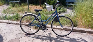 Rent Bike Noleggio Biciclette Terlizzi e dintorni