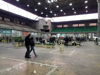 Mercato dei Fiori di Terlizzi