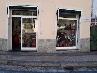 I fiori di anna di Anna Cavalieri