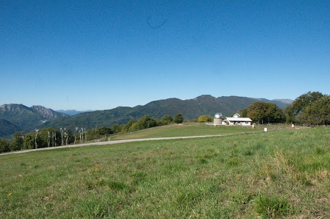 Terapia Forestale | Podere Pian dei Termini | San Marcello Piteglio