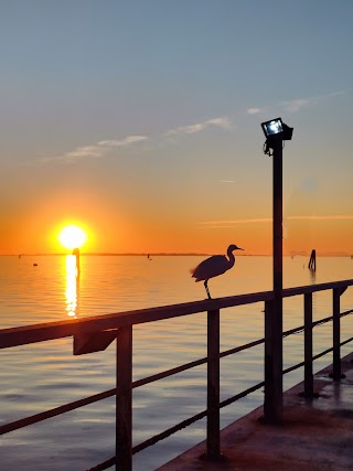 Venice Tour by Boat