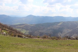 Azienda Agr. "L'Ape e la Spiga" di Anna Basile