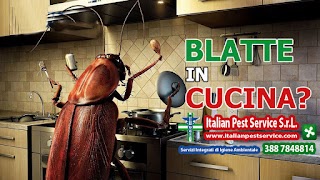 Disinfestazione, Derattizzazione, disinfezione, H.A.C.C.P. Italian Pest Service S.r.L.