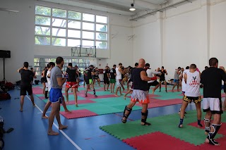 Kick Boxing / K1 Polisportiva Edera