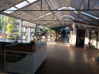 Flornova Garden Center