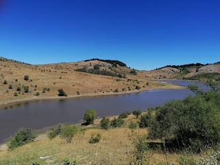 Lago Trearie