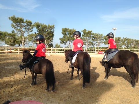 Centro Equestre Parco di Mare SSD a R. L.