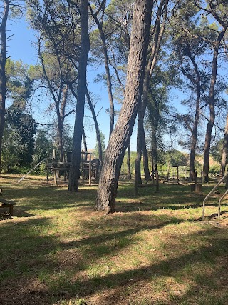 Parco Giochi Pineta Basile Caramia