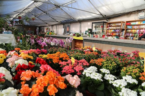 Floricoltura Cermelli di Cermelli Agostino