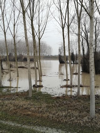 Ponte di Dosso