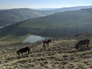 Azienda Agricola Bersana