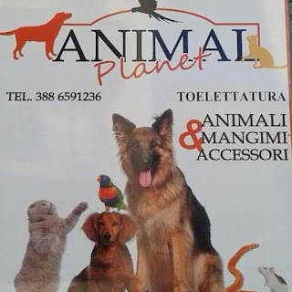 Animal Planet