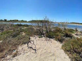 Isola dei Conigli di Porto Cesareo