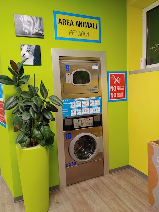 Lavanderia self service Wash & Dry