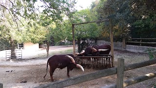 RistoZoo Falconara