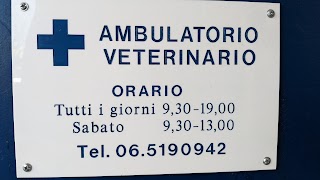 Ambulatorio Veterinario Argenti Carrai