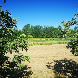 Donna Gnora Società Agricola