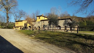 Azienda Agricola Le Buche Di Viesca Di Ermini Angela