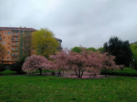 RossoArancio Biella