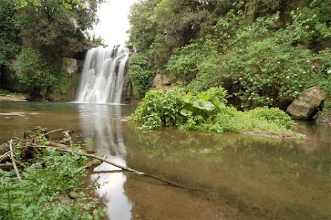 Riserva Naturale Regionale Selva del Lamone