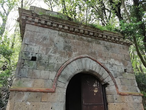 Bosco di San Vito - Monte Tifata