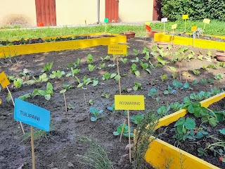 Scuola Dell'Infanzia Paritaria San Giuseppe Cittanova Soc.Coop.