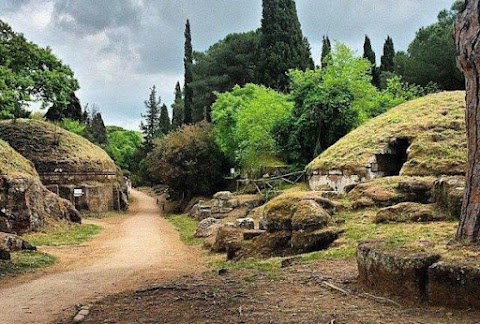 Agriturismo Casale di Gricciano